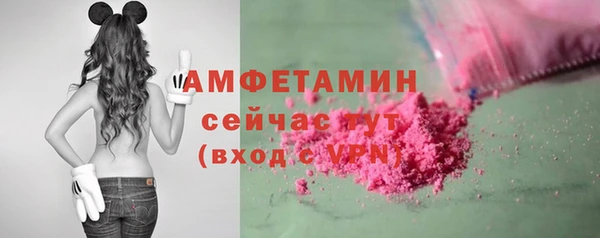 Альфа ПВП Верея
