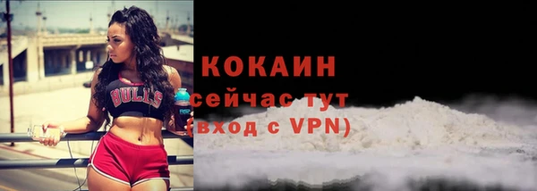 мескалин Бородино