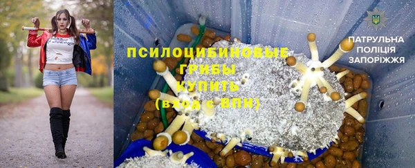 ПСИЛОЦИБИНОВЫЕ ГРИБЫ Володарск